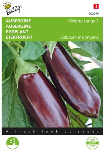 Aubergine - Violetta Lunga 2 - Solanum melongena