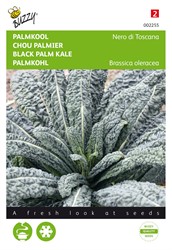 Chou Palmier Nero di Toscana - Buzzy