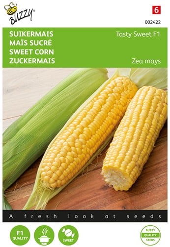 Maïs sucré Tasty Sweet F1 - Buzzy