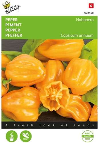 Piment Habanero Orange