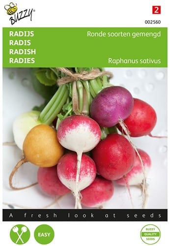 Radis Variétés rondes mélangées - Buzzy