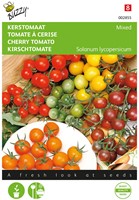 Tomate à Cerise varié - Buzzy