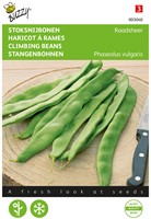 Haricot à rames sabre Raadsheer - Buzzy