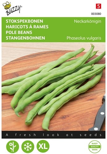 Haricot rames Reine du Neckar-Phenomene - Buzzy