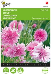 Centaurée barbeau Pink Ball - Buzzy