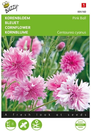 Centaurée barbeau Pink Ball - Buzzy