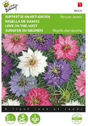 Nigelle de Damas Persian Jewels - Nigella damascena