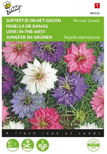 Nigelle de Damas Persian Jewels - Nigella damascena