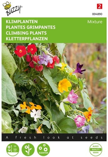 Plantes grimpantes Mélange - Buzzy