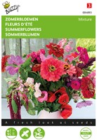 Fleurs d’été mélange Rose et rouge Buzzy