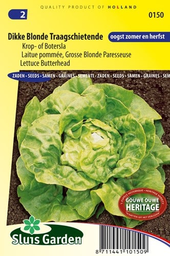 Laitue pommée Grosse Blonde Paresseuse