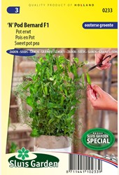 Pot erwt 'N' Pod Bernard F1 – Pisum sativum