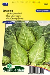 Graines Chou Blanc BRUNSWICK Germisem - Variété Tardive, Pomme Volumineuse