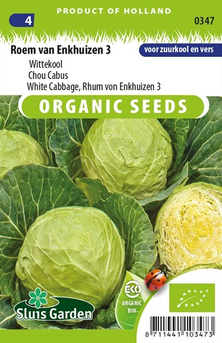 Chou cabus blanc Roem van Enkhuizen 3 EKO