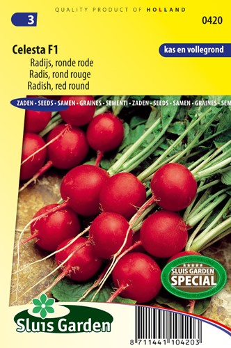 Radis Celesta F1