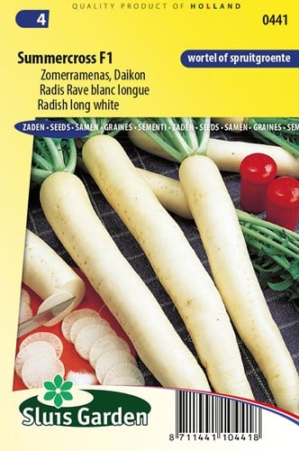 Radis rave blanc longue Minowase Summercross F1 (Raphanus Sativus)