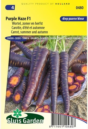 Carotte Purple Haze F1 - Daucus carota