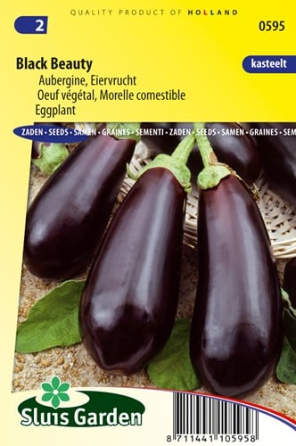 Aubergine, Morelle comestible Black Beauty