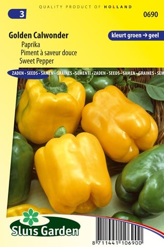 Poivron Golden California wonder