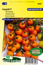 Tomate Sungold F1