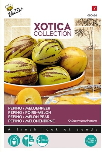 Pepino Poire-Melon - Xotica Collection