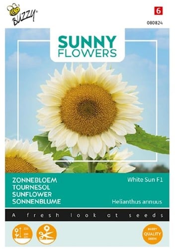 Tournesol White Sun F1 - Sunny Flowers