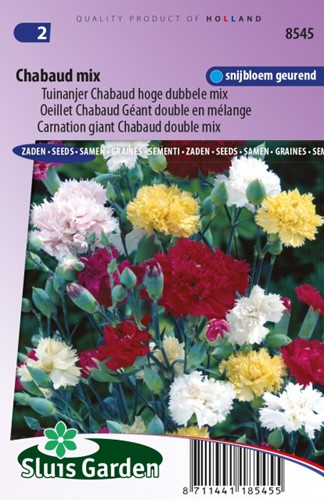 Oeillet Chabaud Mix - Dianthus Chabaud