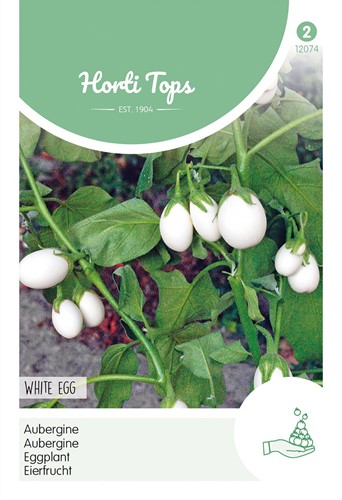 Aubergine Blanche ronde a œuf - Horti Tops