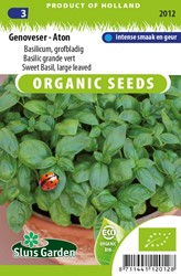 Basilic grand vert - EKO - Ocinum