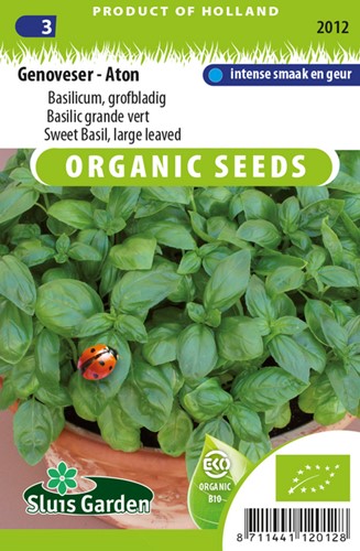 Basilic grand vert - EKO - Ocinum