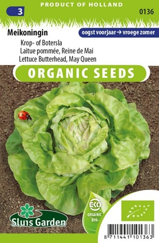 Laitue pommée Reine de mai EKO