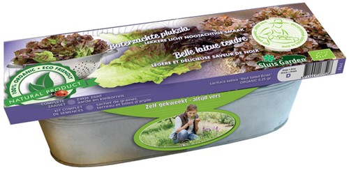 Kit Laitue Red Salad Bowl Graines Biologiques