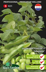 Soja bean Fiskeby V