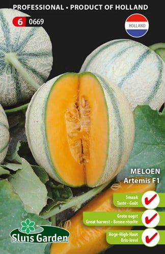 Melon charentais Artemis F1