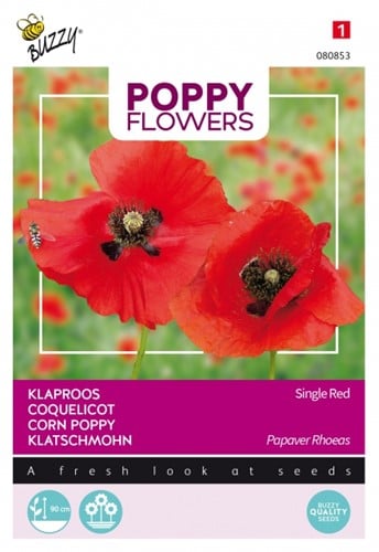 Coquelicot Rouge - Buzzy Poppy Flowers