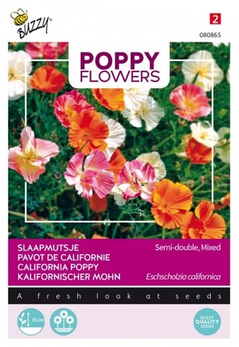 Pavot de Californie, double varié - Poppy Flowers