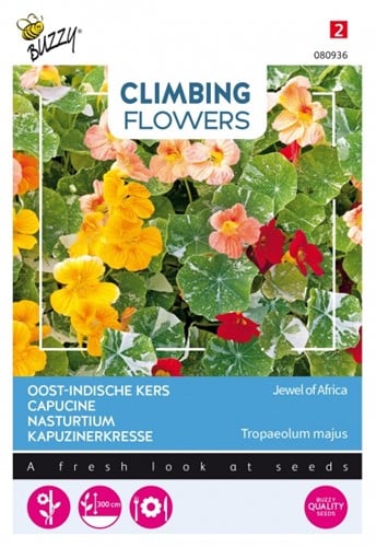 Capucine / Tropaeolum Jewel of Africa - Climbing Flowers
