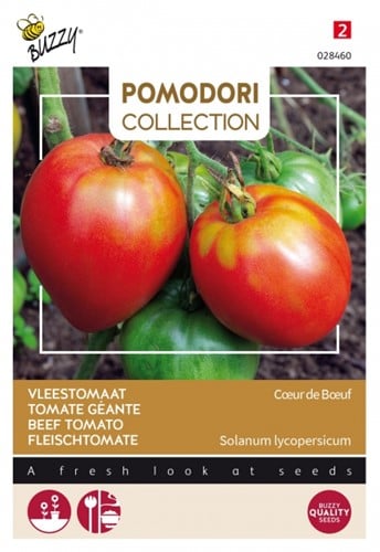 Tomate Géant Coeur De Boeuf - Pomodori Collection