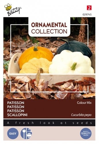 Courgette Pâtisson Colour Mix - Ornamental Collection