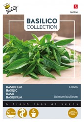Basilic Citron - Basilico Collection