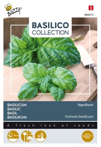 Basilic Napolitano - Basilico Collection