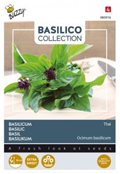 Basil Siam ou Thai - Basilico Collection