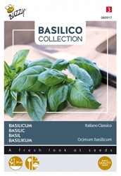 Basilic Italiano Classico - Basilico Collection