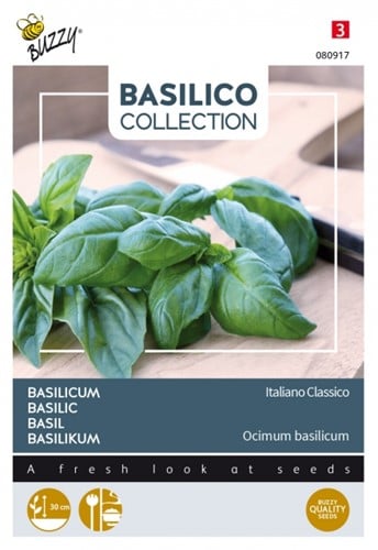 Basilic Italiano Classico - Basilico Collection