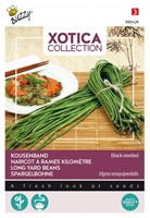 Haricot à rames kilométre Black Seeded - Xotica Collection