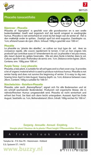 Groenbemester Phacelia / 100gr - 100 m2-2