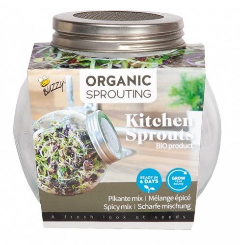 Organic Sprouting pot en verre - Mélange épicé