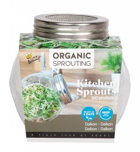Organic Sprouting pot en verre - Daikon