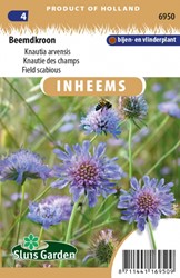 Beemdkroon - Knautia arvensis