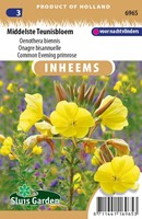 Middelste Teunisbloem - Oenothera biennis